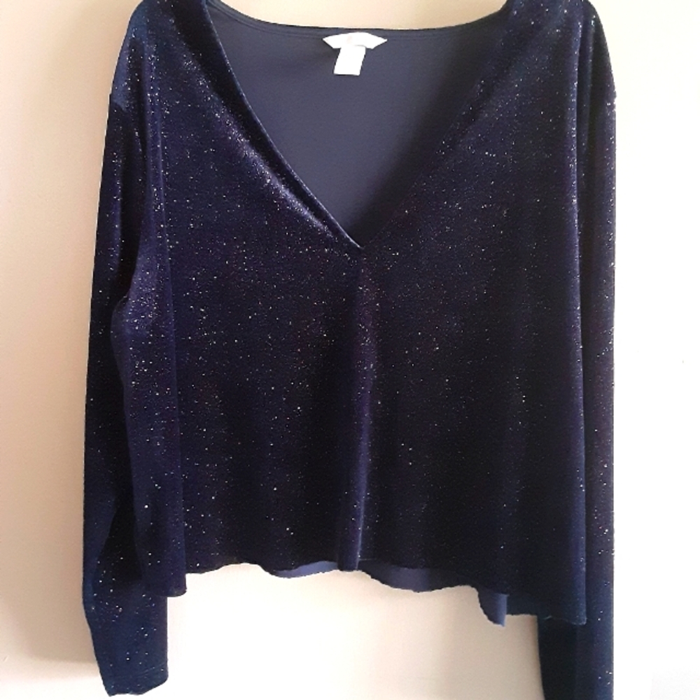 H&M Sparkly long sleeve crop top size Large